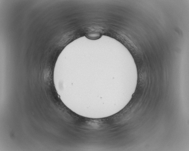 X0000115780079200912111136