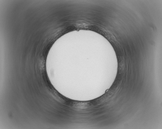 X0000115780081200912111136