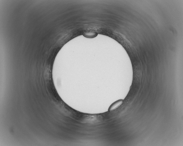 X0000115780083200912111136