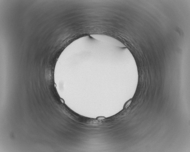 X0000115780084200912111136