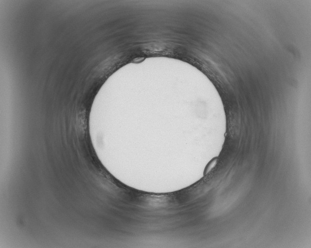 X0000115780085200912111136