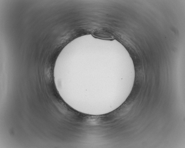 X0000115780088200912111136