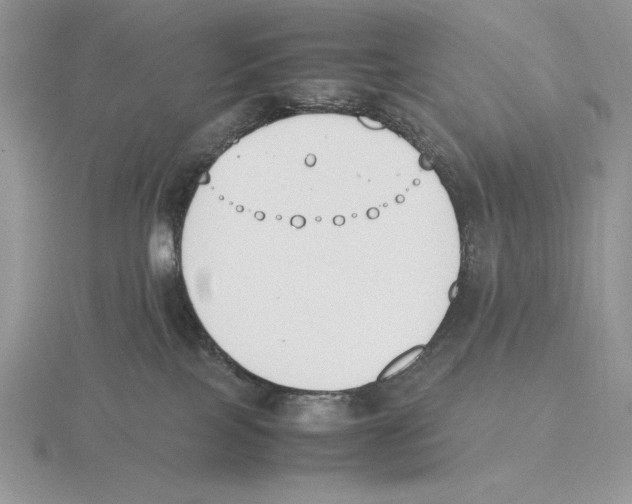 X0000115780089200912111136