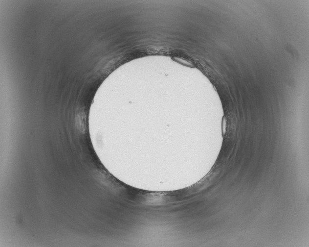 X0000115780090200912111136