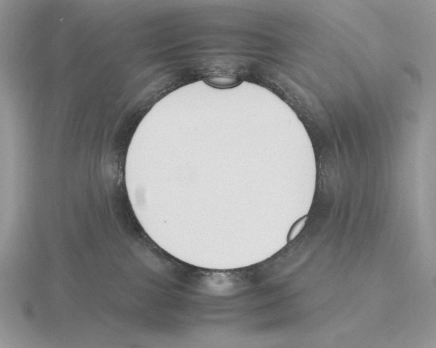 X0000115780091200912111136