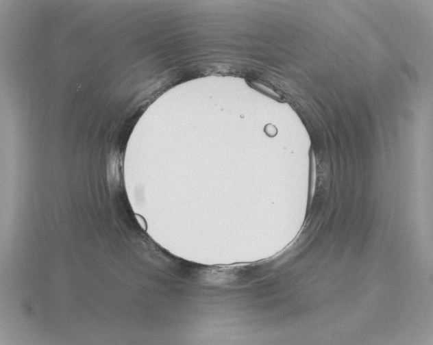 X0000115780094200912111136