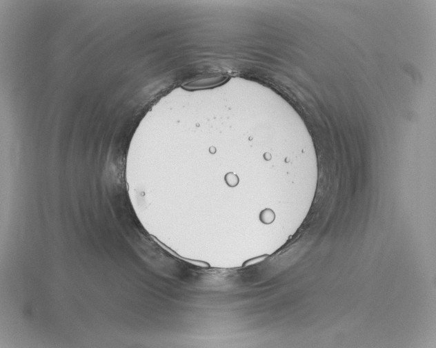 X0000115780096200912111136