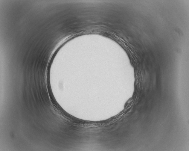 X0000115780100200912111136