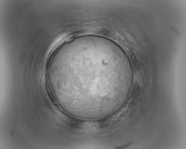 X0000115780101200912111136