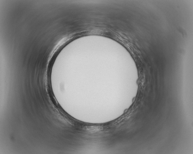 X0000115780102200912111136