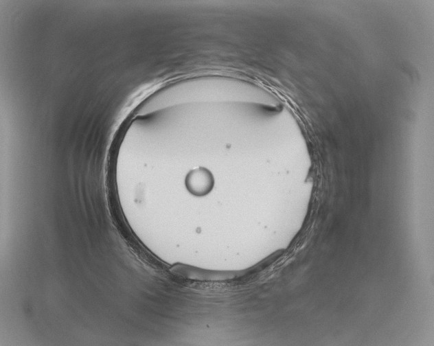 X0000115780104200912111136