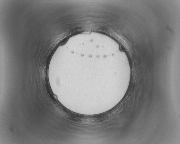 X0000115780105200912111136