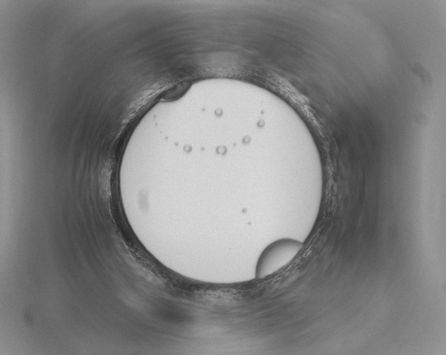 X0000115780106200912111136