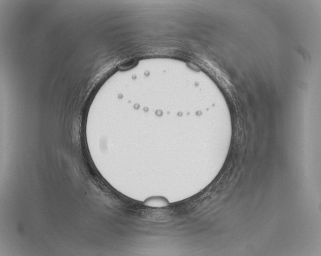 X0000115780107200912111135