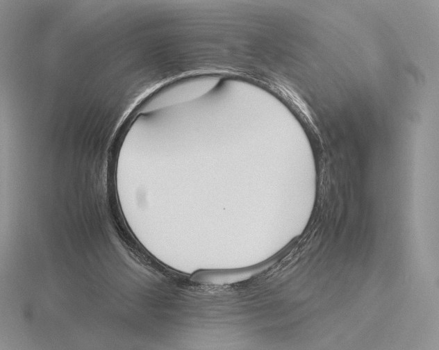 X0000115780108200912111135