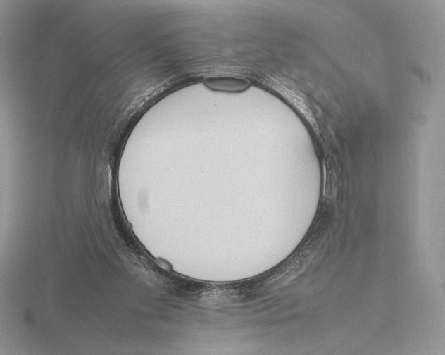 X0000115780109200912111135