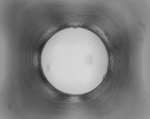 X0000115780114200912111135