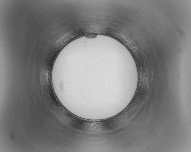 X0000115780117200912111135