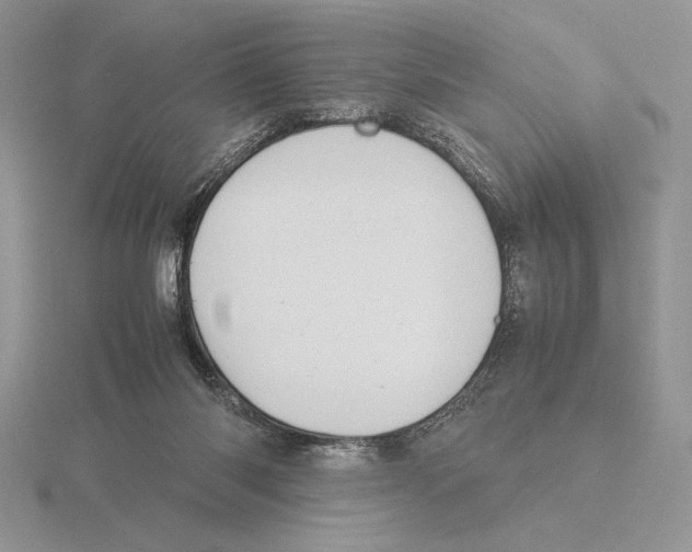 X0000115780118200912111135