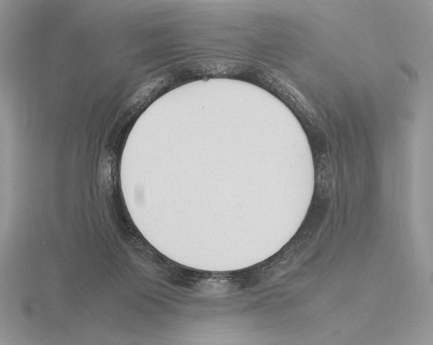 X0000115780119200912111135