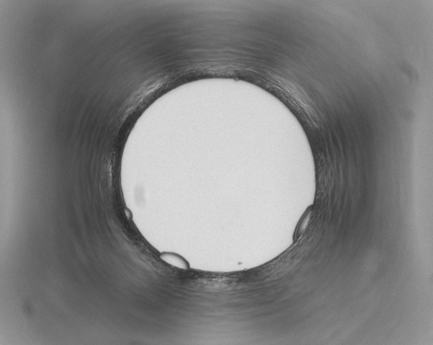 X0000115780120200912111135