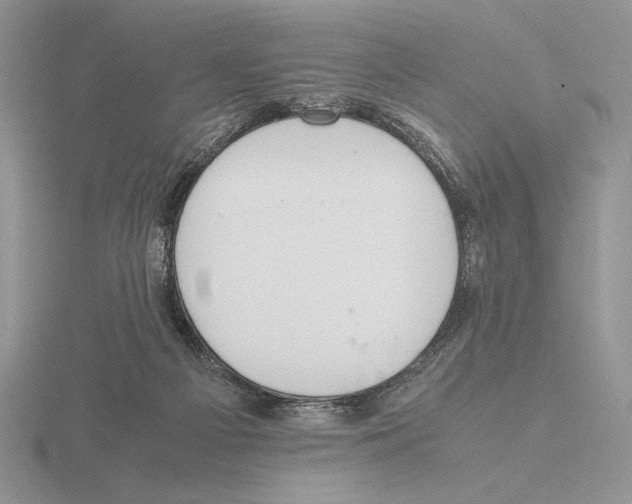 X0000115780121200912111135