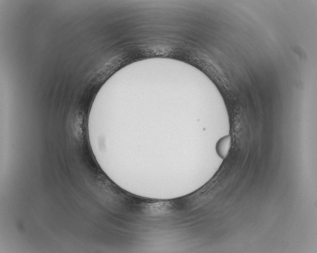 X0000115780122200912111135