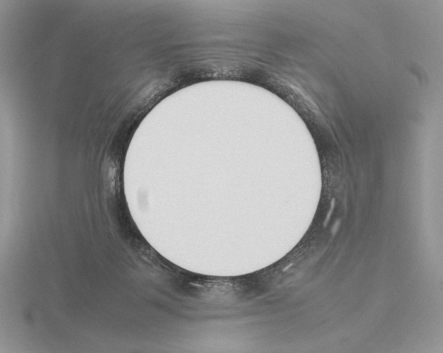 X0000115780123200912111135