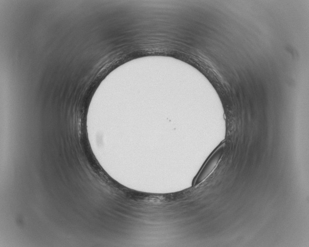 X0000115780124200912111135