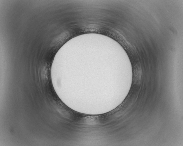 X0000115780126200912111135