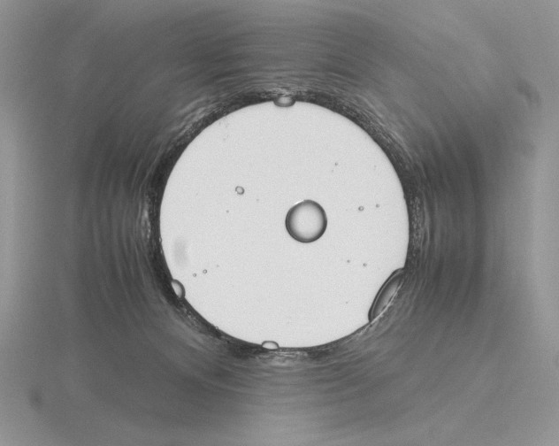 X0000115780128200912111135