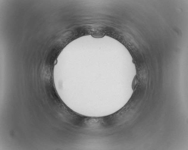 X0000115780129200912111135