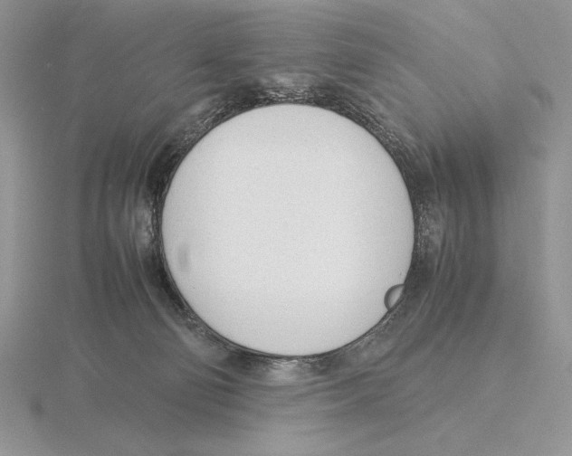 X0000115780130200912111135