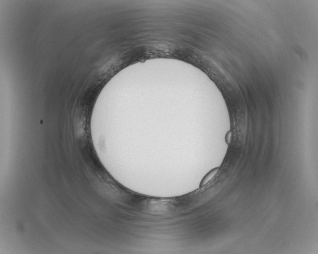 X0000115780134200912111135