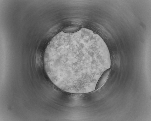 X0000115780136200912111135