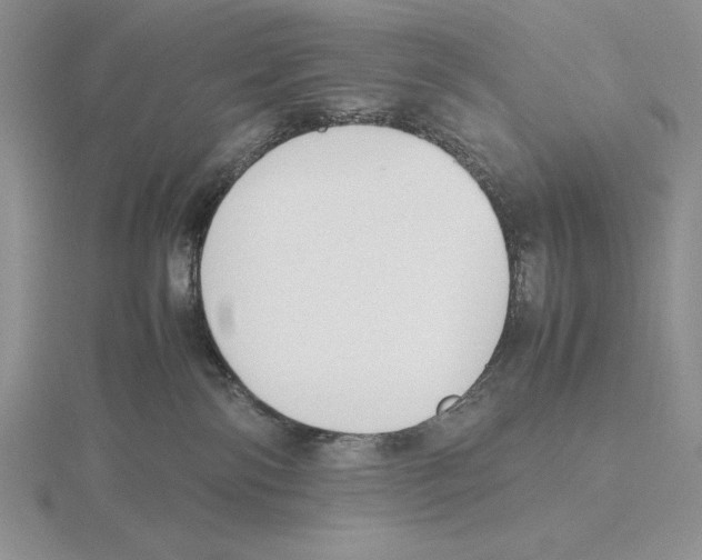 X0000115780138200912111135