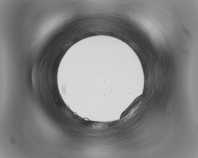 X0000115780140200912111135