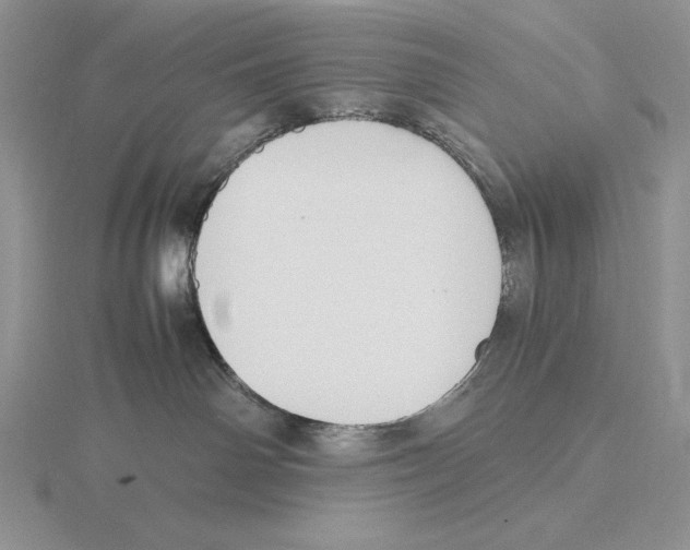 X0000115780142200912111135