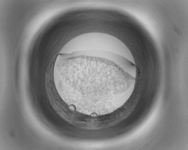 X0000115780143200912111135