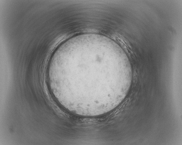 X0000115780145200912111134