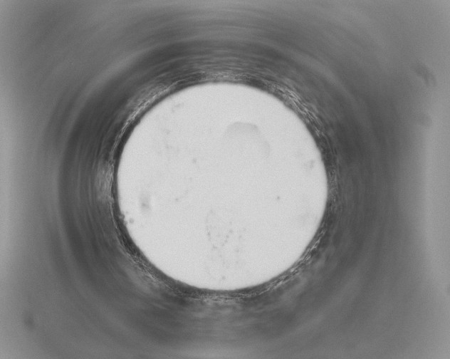 X0000115780146200912111134