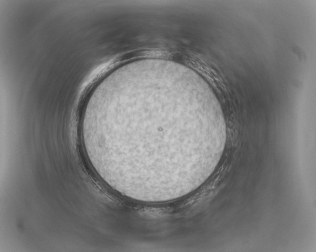 X0000115780149200912111134