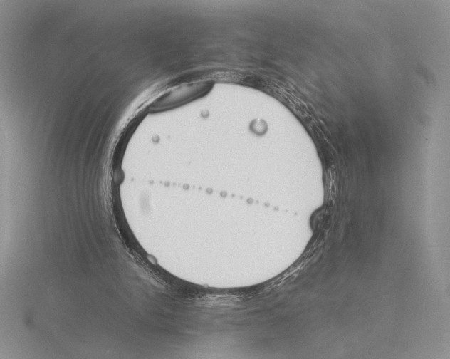 X0000115780150200912111134