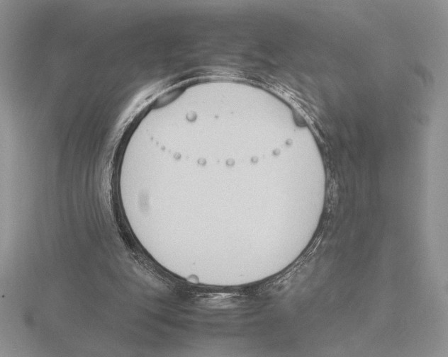 X0000115780151200912111134