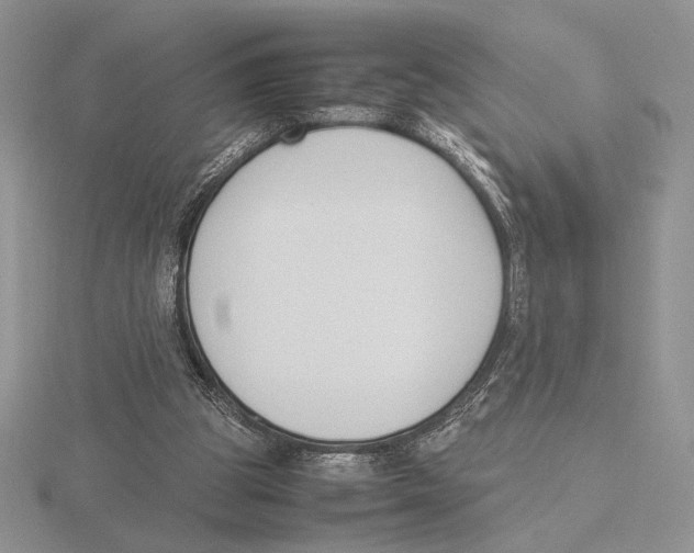 X0000115780153200912111134