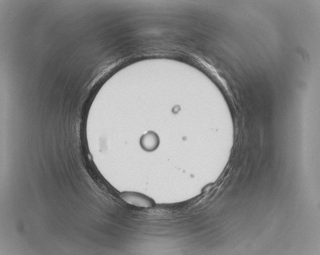 X0000115780154200912111134