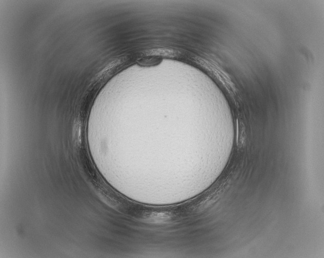 X0000115780157200912111135