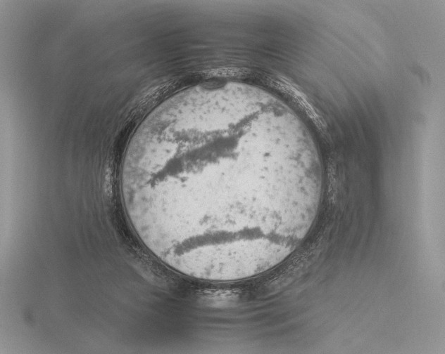 X0000115780161200912111135