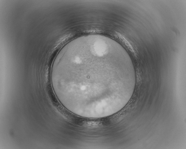 X0000115780163200912111135