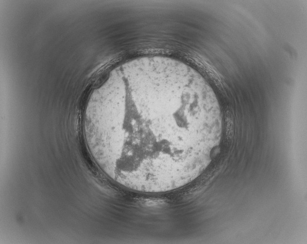 X0000115780165200912111135